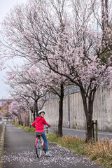 Preteen girl on a bicycle landing under a blooming sakura cherry blossom tree and looking over her shoulder. Springtime.