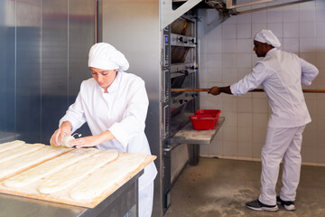 Fototapeta na wymiar Female baker prepares delicious dough coca bread at bakery