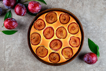 Soft sponge cake with red plum. Top view.