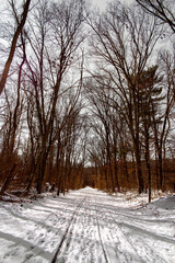 Winter trail in the park