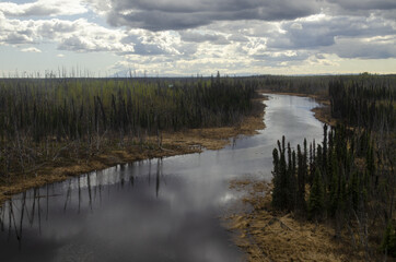 Obraz premium Stream in Alaska near Trapper Lake