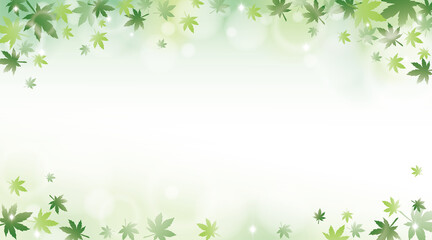  Green maple leaves with sunlight background