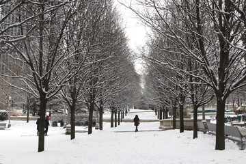 A person silhouette in winter park