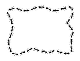 Black ants square border. Ants forming messy rectangular shape isolated in white background. Vector illustration