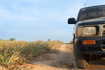 Front of vintage pick up car. Driving on the soil road with the bright light of the sun shining.