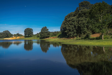 landscape with lake and trees (forest)