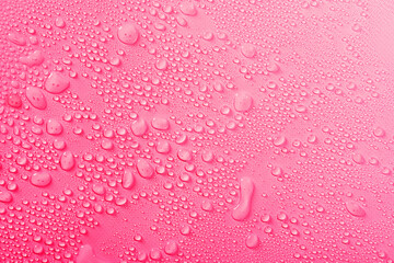 Water drops on pink background. Transparent water droplets from spray