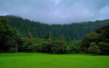 Green Lawn in Front of Ko'olau Range in Hawaii