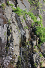 流れ落ちる小さな滝
