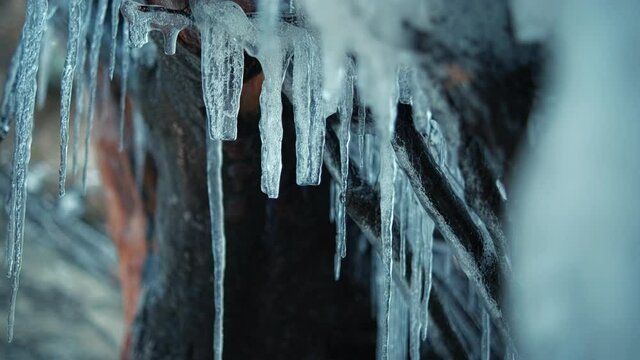 Beatuful, huge icicles on the tree