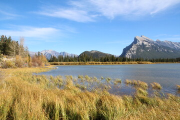 Grass Going Into The Water, Banff National Park, Alberta