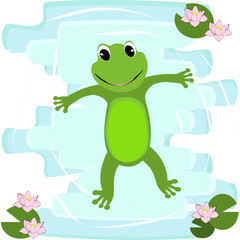 frog on a cartoon green frog swimming fun and lotus leaf amphibian vector illustrationwhite , 