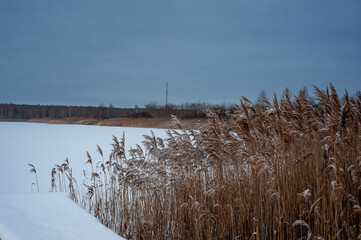 Giant panorama of snow-covered ice-river among a frozen taiga forest in a winter