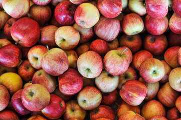 close up of a pile of apples at grocery