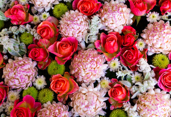 Composition of pink and green flowers