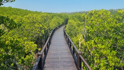 Obraz premium wooden bridge in the field