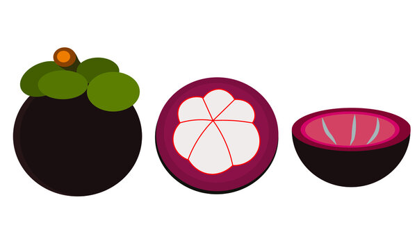 mangosteen or manggis is indonesian special fruit. made in flat editable illustration in isolated white background