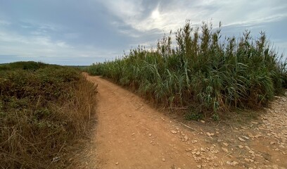 Medulin Kap Marlera Istrien Kroatien