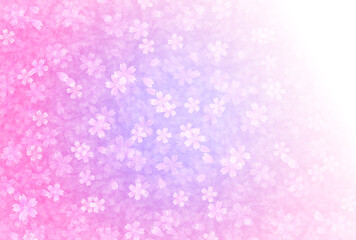 桜　春　花　背景