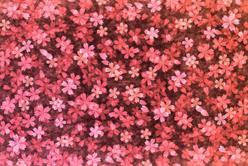 Obraz premium 桜 春 花 背景