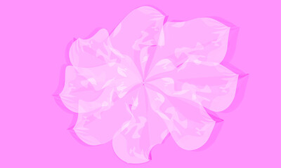 sweet pink flowers on pink background isolated