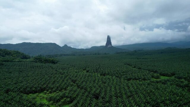 Aerial view over dense tropical trees, towards the Pico Cao Grande mountain, in gloomy Sao Tome - rising, drone shot