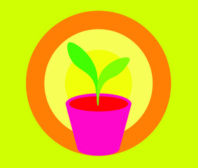Plant in a pot with bright colors background.