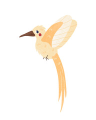 Hummingbirds bird doodle in cartoon style on white background. Vector illustration isolated.
