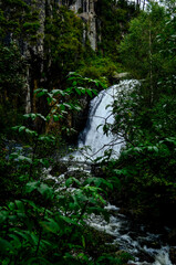 waterfall in the forest