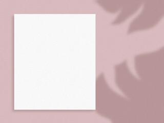 葉の影が映るピンク色の壁の背景