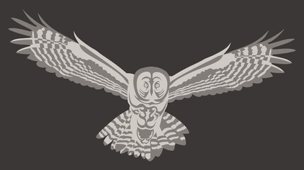 owl - a predatory flying bird with a pattern on the body in the form of a tattoo