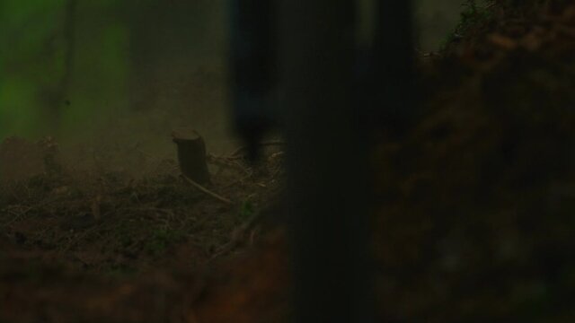 A mountain bike jumps off a small tree in slow motion