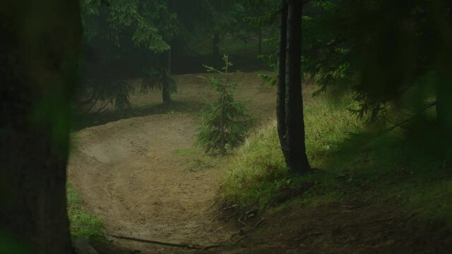 A mountain biker is riding very fast in a moody forest