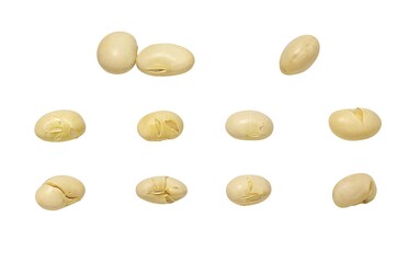 節分 豆まき 大豆 イラスト リアル 