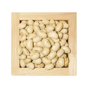 7 366 Best 豆まき Images Stock Photos Vectors Adobe Stock