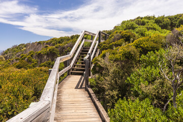 boardwalks and stairway into the bush