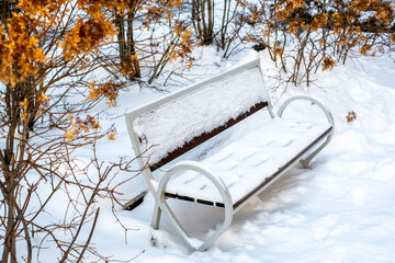 snow covered bench in winter