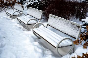 benches in the snow