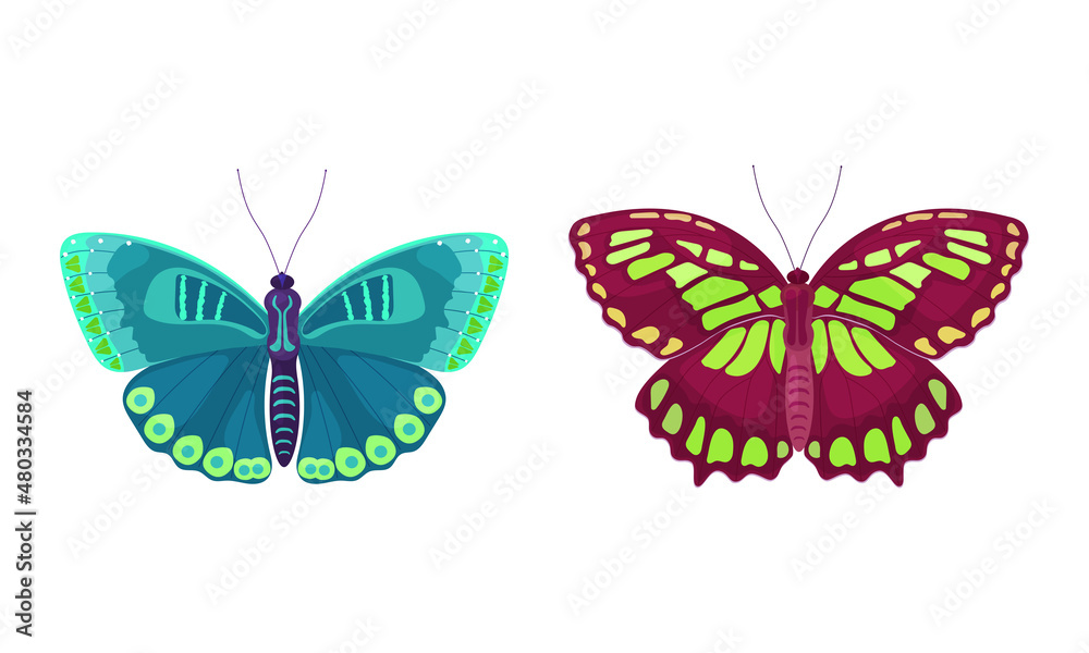 Sticker Fluttering Tropical Butterfly with Brightly Coloured Wings Vector Illustration Set.