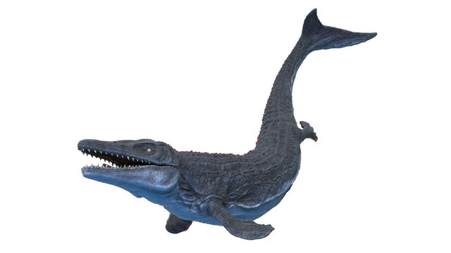 3d rendered illustration of a Mosasaurus