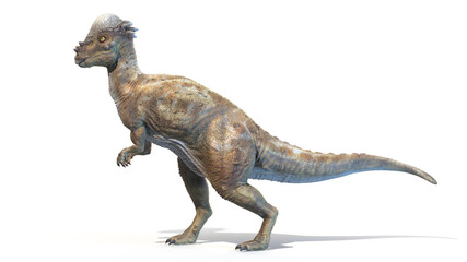 3d rendered illustration of a Pachycephalosaurus © Sebastian Kaulitzki
