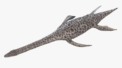 3d rendered illustration of a Plesiosaurus