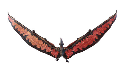 3d rendered illustration of a Pteranodon © Sebastian Kaulitzki