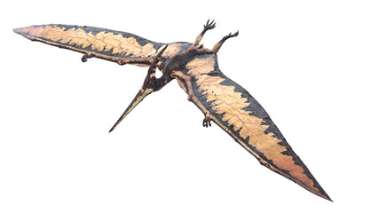 3d rendered illustration of a Pteranodon © Sebastian Kaulitzki