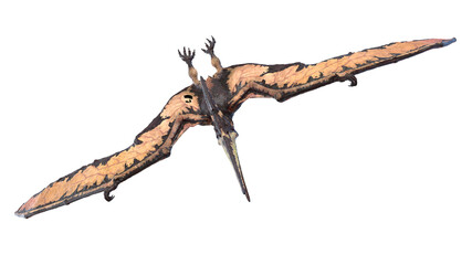 3d rendered illustration of a Pteranodon © Sebastian Kaulitzki