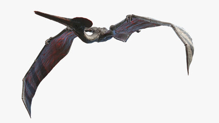 3d rendered illustration of a Pterodactyl © Sebastian Kaulitzki