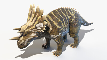 3d rendered illustration of a Regaliceratops