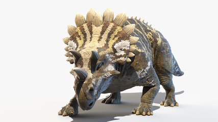 3d rendered illustration of a Regaliceratops