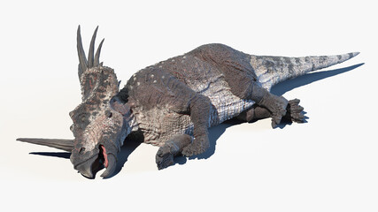 Fototapeta premium 3d rendered illustration of a Styracosaurus