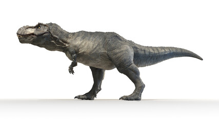3d rendered illustration of a Tyrannosaurus Rex © Sebastian Kaulitzki